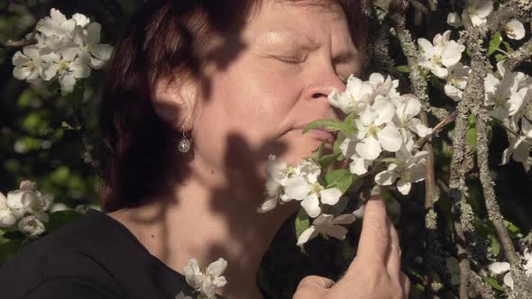 Closeup Shot of a Lady Smelling Apple Tree Blossoms on a Sunny Day
