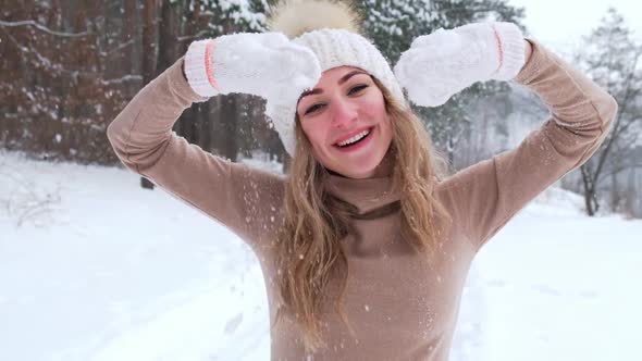 Christmas Holidays and Winter Season Concept alt