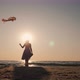 The Silhouette of a Young Woman with a Kite - VideoHive Item for Sale