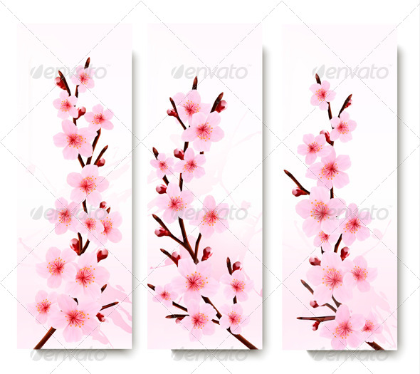 Three Spring Banners with Blossoming Sakura Branch - Flowers & Plants Nature