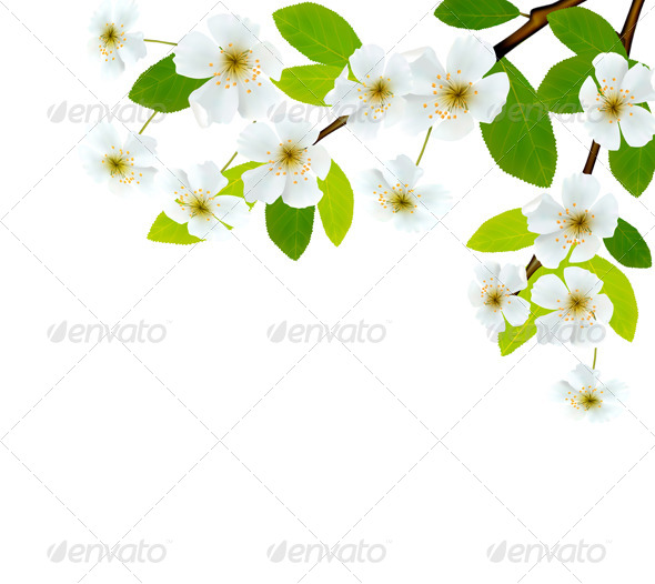 Nature Background with Blossoming Tree Brunch - Flowers & Plants Nature