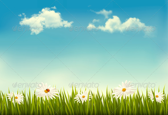 Nature Background - Flowers & Plants Nature