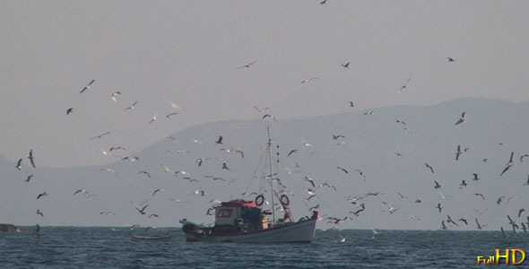 Fishing Boat with Seagulls