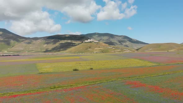 Flying over the colorful flower fields in Castelluccio di Norcia, Umbria (Italy)
