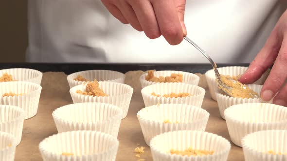 Arranging cupcake bases made with biscuit and in molds on a tray alt