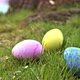 Adding and arranging  multi colored colored  Easter eggs in green grass - VideoHive Item for Sale