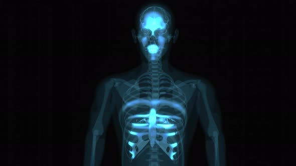 4K abstract Xray anatomy concept of a shoulder pain alt