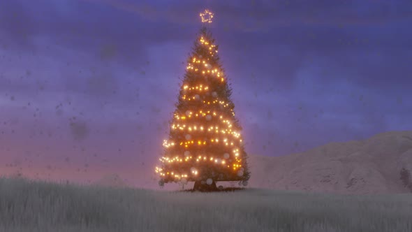 Christmas Tree Landscape