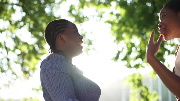 Side View Excited African American Women Talking Gesturing in Slow Motion Gossiping in Summer Park alt