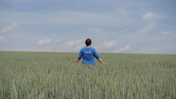 Field. Female Figure Walks Across a Field of Wheat in the Distance. alt