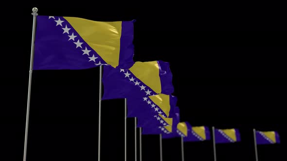 Bosnia and Herzegovina  Row Of Flags Animation Include Alpha Channel