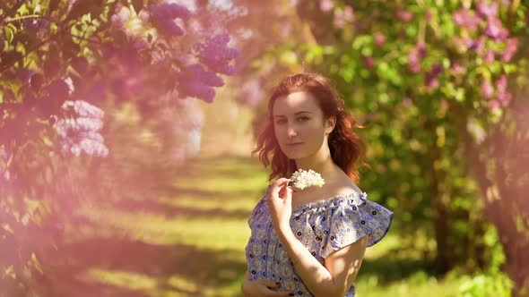 Cute Redhead Woman Stands in Lilac Field and Looks at You Holding White Flower alt