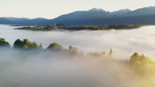 Foggy morning in the forest and landscape alt