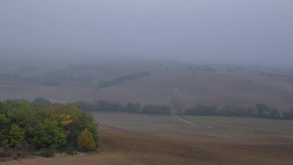 Very Dense Mist over Autumn Fields