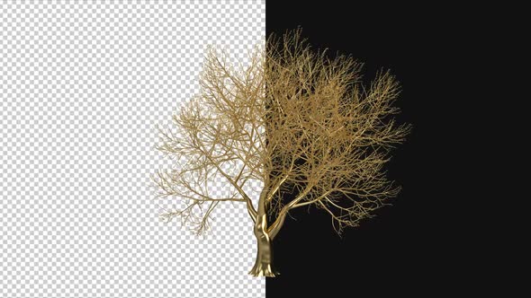Gold Tree Growth Animation alt