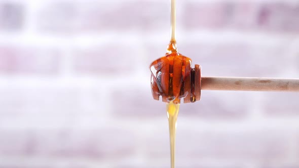 Close Up of Fresh Honey with Spoon on Table alt