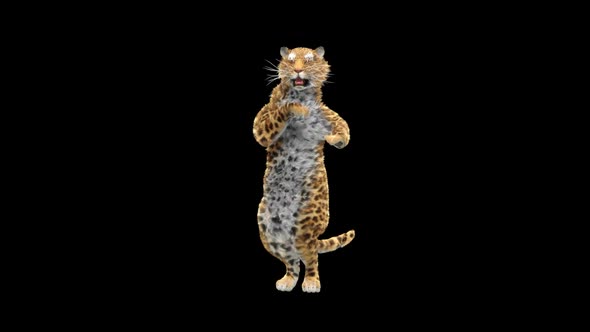 Leopard Dancing HD alt
