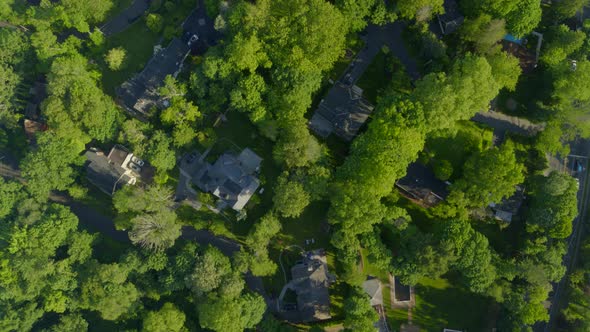 Houses Amongst Trees in the Village of Roslyn Long Island Top Down Aerial View alt