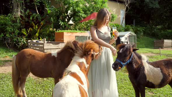 Young Happy Woman Feeding Little Ponies with Carrots From His Hand on the Countryside Farm alt