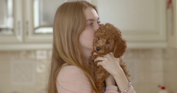 Young beautiful girl holding a poodle puppy in her arms. presses to itself. The puppy yawns.