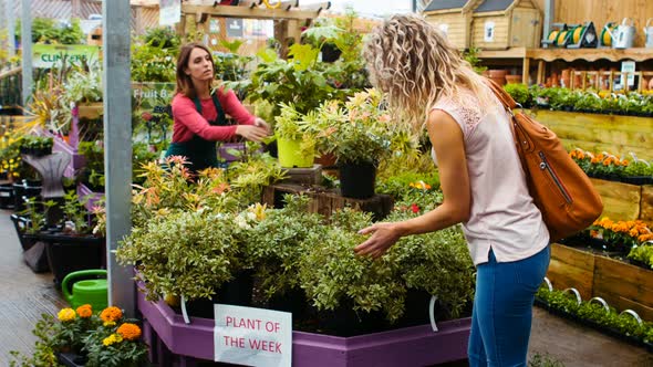 Female florist watering flowers with watering can while customer looking at pot plant alt