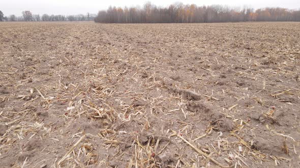 Land in a Plowed Field in Autumn alt