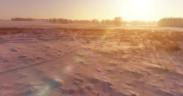 Aerial Drone View of Cold Winter Landscape with Arctic Field, Trees Covered with Frost Snow and alt