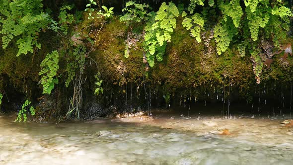 Natural Landscape Water Drop alt
