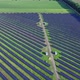 Ecology Solar Power Station Panels in the Fields Green Energy - VideoHive Item for Sale