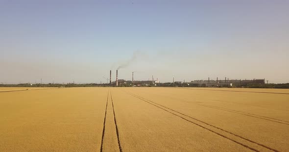 High Flight Over A Wheat Field Near A Large Factory With Pipes