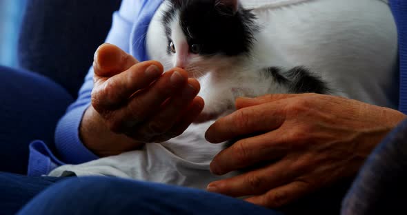 Senior women holding kitten while sitting on armchair at retirement home 4k alt