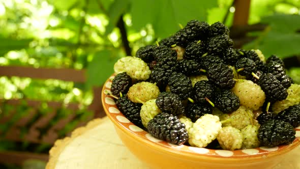 A Plate with Ripe Mulberries in the Garden