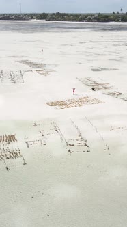 Vertical Video of Low Tide in the Ocean Near the Coast of Zanzibar Tanzania alt