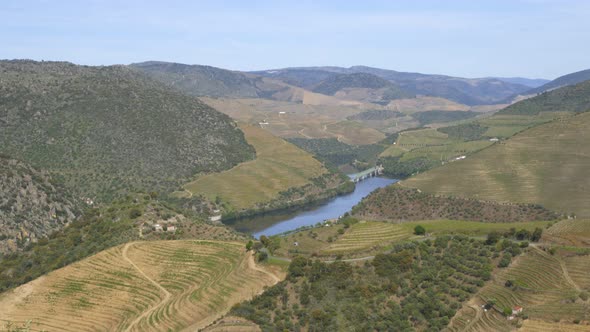 Douro wine region vinhas vineyard in Portugal alt