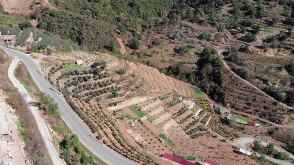 Banana plantations in spring, Alanya, Turkey.  alt