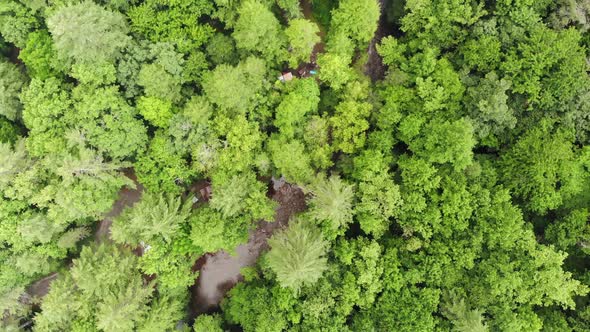 Chattahoochee national forest campground river drone aerial topdown alt