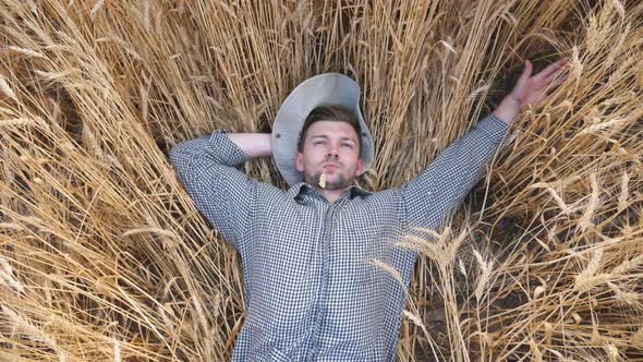 Top View Young Farmer Lying Wheat Stems Resting Cereal Field