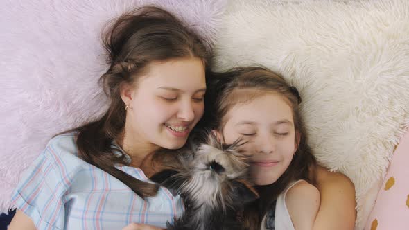 Happy Hugs with a Little Puppy of Two Teenage Girls Lying on the Bed Top View alt