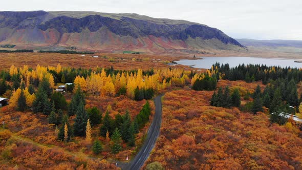 Aerial View of Colorful Autumn Landscape in National Park Thingvellir, Iceland alt