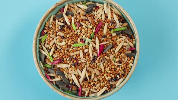 Rodents Food in Bowl Closeup Rotating alt