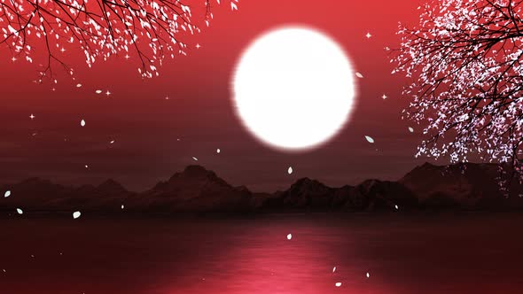 Scarlet Sunset Loop 4k