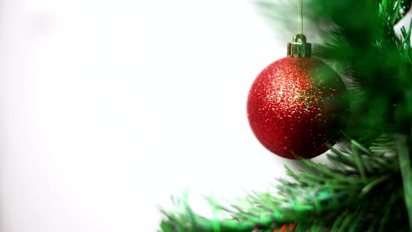 Branch of a Christmas tree decorated with a red ball with a white background