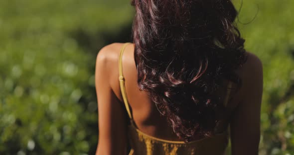Walk of Woman Traveler in Front of Nature Background Tea Plantations Landscape in Sri Lanka alt