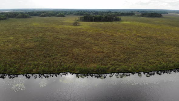 the Swamp is Multicolored Near a Forest Lake with Mirror Water alt