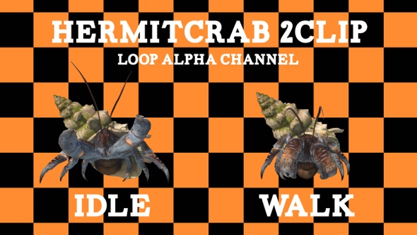 Hermit Crab 2clip Loop
