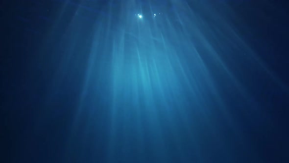 Under Water Lighting Reflections alt