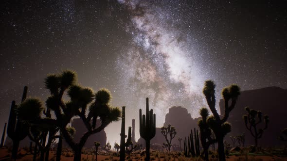 The Milky Way Above the Utah Desert, USA alt