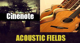 ACOUSTIC FIELDS