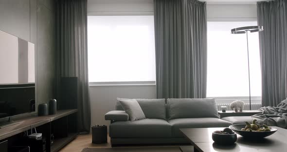 Contemporary Living Room alt