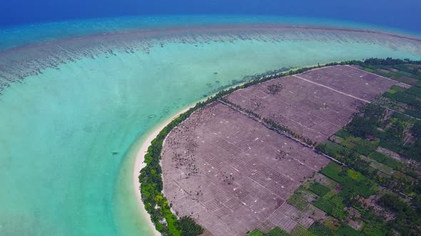 Drone aerial scenery of exotic coast beach journey by blue water with sand background alt